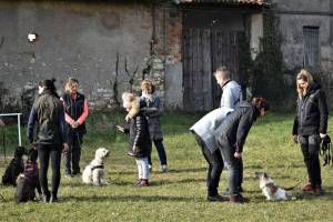 corsi per educare il proprio cane